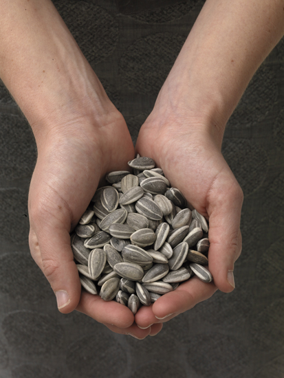 1. Ai-Weiwei-Sunflower-Seeds-2010-ceramic-dimensions-variable