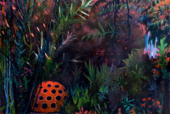 Interview: Kathryn Cowen’s Gardens of Wonder